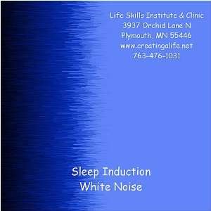   Induction  White Noise Brain Entrainment Session 