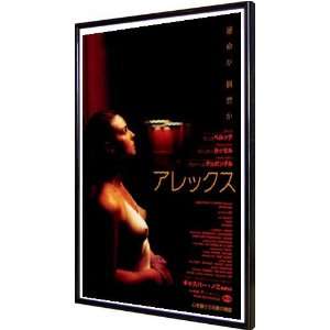  Irreversible 11x17 Framed Poster