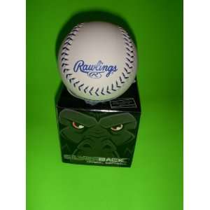   Approved Silverback 11 Inch Synthetic Softball
