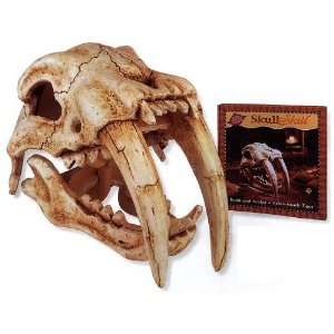 Vintage Safaris Sabre   Tooth Tiger Skull Skill Sculpting Kit  