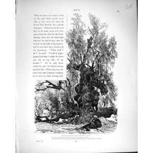  Palestine 1881 Scene Tamarisk Tree Wady Feiran Sinai