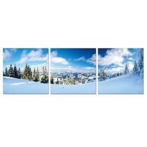  Elementem Photography Ski Slope Wall Art
