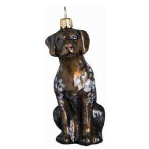  Blown Glass German Shorthaired Pointer Ornament