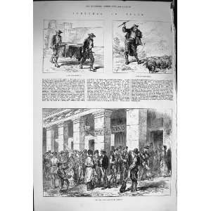   1873 Spain Funeral Republican Guard Pig Driver Madrid