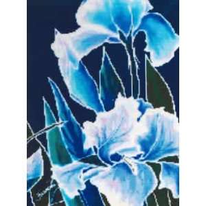  Irises (cross stitch) Arts, Crafts & Sewing