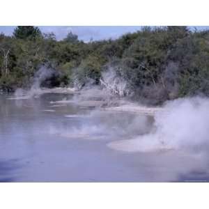 Steam and Bubbling Mud Pools in Thermal Area, Rotorua, South Auckland 