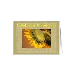  37th Birthday, sunflower Card Toys & Games