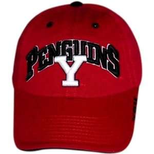  Youngstown State Penguins Fratboy Hat