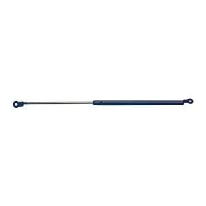  Strong Arm 4738 Hatch Lift Support Automotive