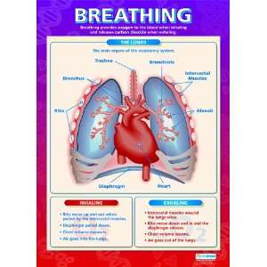  Breathing Extra Large Paper Poster