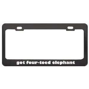 Got Four Toed Elephant Shrew? Animals Pets Black Metal License Plate 