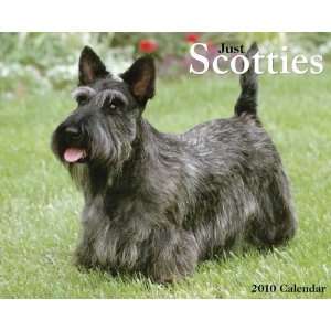  Scotties 2010 Wall Calendar