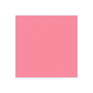   Flesh Pink, 20 x 24 Color Effects Lighting Filter