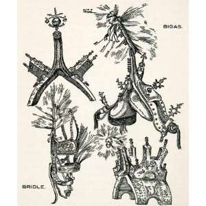  1928 Lithograph Horse Equipment Bridle Bigas Abruzzi Italy 
