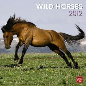   2012 Wild Horses Square 12X12 Wall Calendar by 