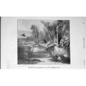   1905 Antique Print Woodcock Shooting Hunting Country