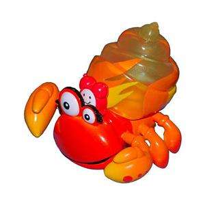 Xia Xia Trinidad Orange Hermit Crab Orange Shell Blue Box  