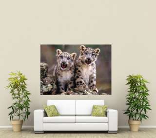 Snow Leopard Cubs Giant Poster Print X980  