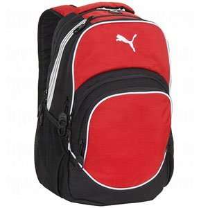  Puma Teamsport Formation Ball Backpack