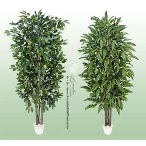 TWO 7 Artificial Trees   Very Full Ficus + Long Ficus with Real Wood 