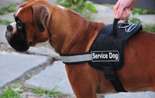Dog Harness with Service Dog Velcro Patch Label Tag  