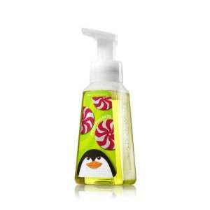  Anti Bacterial Gentle Foaming Hand Soap Peppermint Patty Beauty