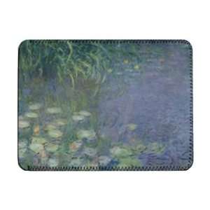  Waterlilies Morning, 1914 18 (left section)   iPad 