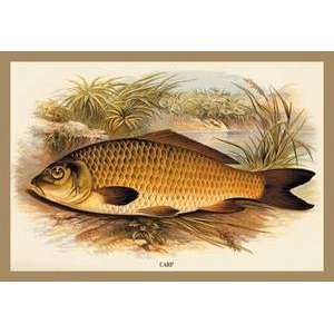    Paper poster printed on 12 x 18 stock. Carp