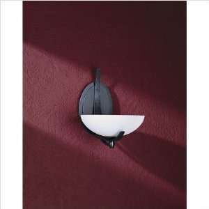  Aegis One Light Wall Sconce Finish Brushed Steel, Shade 