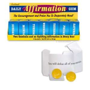 Daily Affirmation Gum  Grocery & Gourmet Food
