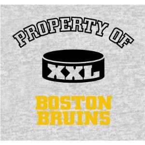  Boston Bruins Property Of Blanket
