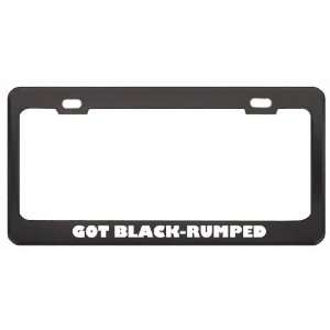 Got Black Rumped Agouti? Animals Pets Black Metal License Plate Frame 