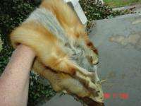 Red fox pelt tanned/dressed wild fur/hide/skin~Nice  