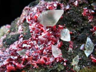 2LB,crimson red REALGAR w/CALCITE specimen  R022  