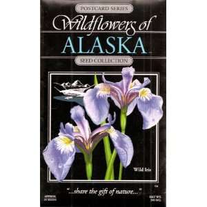  Wildflowers of Alaska WILD IRIS Seed Postcard Everything 