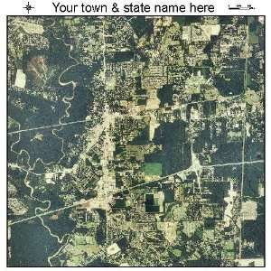  Aerial Photography Map of Denham Springs, Louisiana 2010 