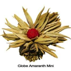 Globe Amaranth Mini Flowering Tea  Grocery & Gourmet Food