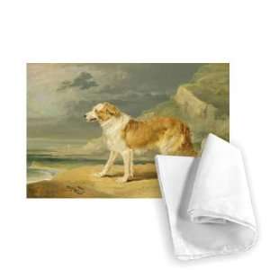 Rough coated Collie, 1809 (oil on board) by   Tea Towel 100% Cotton 