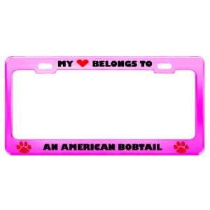  An American Bobtail Cat Pet Pink Metal License Plate Frame 