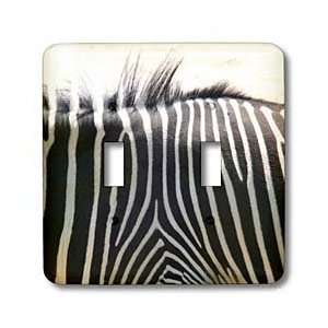   Body  Animals  Nature Photography   Light Switch Covers   double