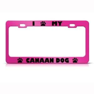  Canaan Dog Dog Pink Animal Metal license plate frame Tag 