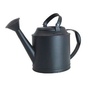   Can Designer By Sarah Fager Black Watering Can 
