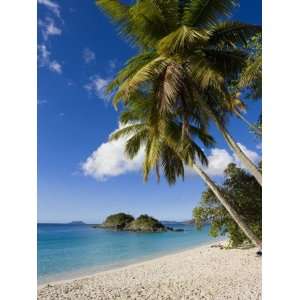 St. John, U.S. Virgin Islands, West Indies, Caribbean, Central America 