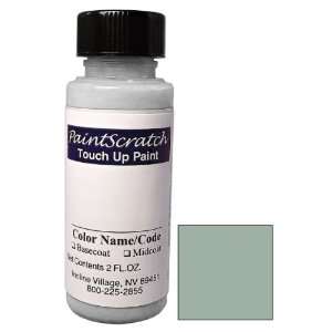 Oz. Bottle of Light Gray Fern Metallic Touch Up Paint for 1983 Buick 