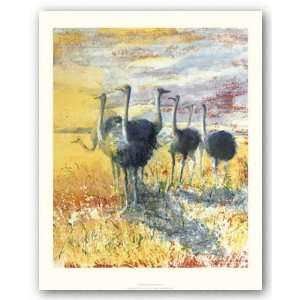  Ostriches by Anni Robinson 16.9291344x13.779528 Art 