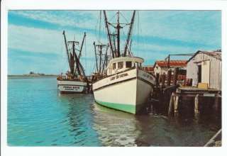Standard size vintage postcard showing the Fish and Shrimp boats in 