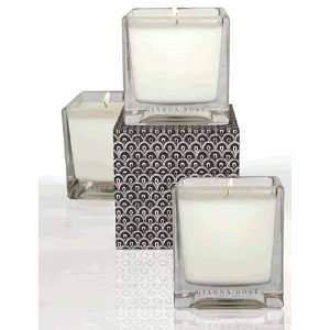  Gianna Rose Atelier Tea Leaf and Verbena Candle   Made in 