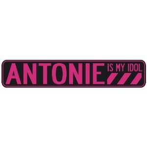  ANTONIE IS MY IDOL  STREET SIGN