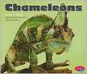 Chameleons Joanne Mattern