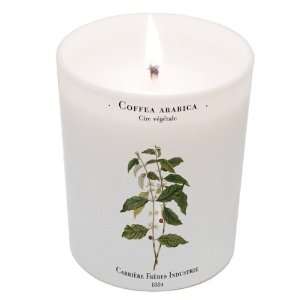   Arabica (Coffee) Candle 6.7oz candle by Carriere Freres Industrie